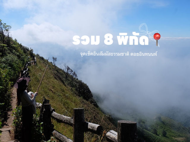 รวม 8 จุดเช็คอินสัมผัสธรรมชาติที่ดอยอินทนนท์🌳