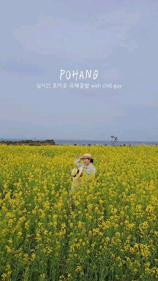 현시각 가장 로맨틱한 포항여행코스💛