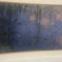 【パリ🇫🇷】全方位モネの絵画💐オランジュリー美術館