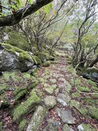 【大洞山〜尼ヶ岳】⛰️ 関西百名山