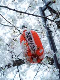 Exchanging Spring | The Quiet Charm of Kanda River
