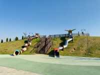 Play, Pets & Plants—Pyeongtaek Fun!