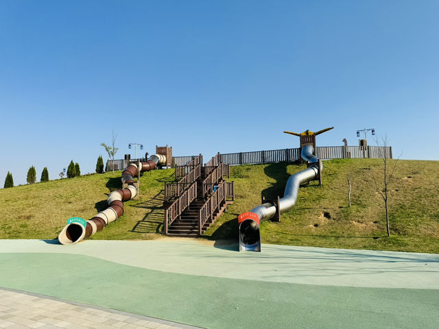 Play, Pets & Plants—Pyeongtaek Fun!