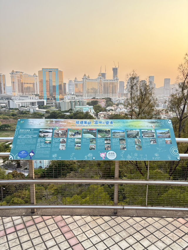 大潭山日落美景-日落飛車與大潭山瞭望台，欣賞路氹大道之美