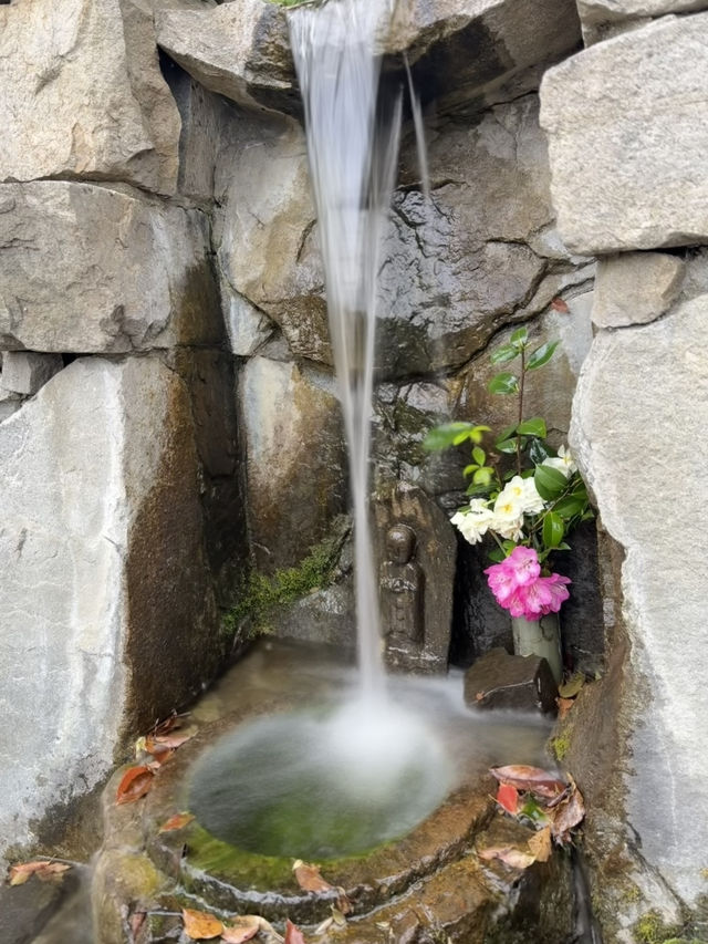 漫步四國村：穿越時光的傳統聚落