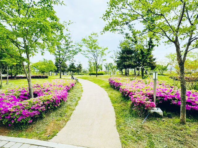 A Park for Everyone: Gungri’s Charm