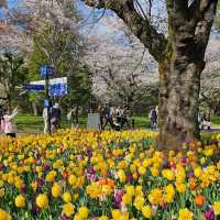 Nature’s Paradise at Showa Kinen Park