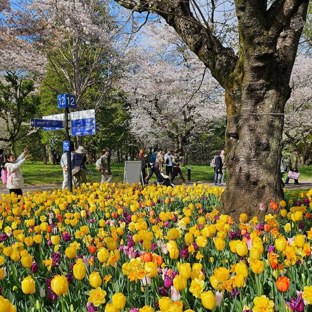 Nature’s Paradise at Showa Kinen Park