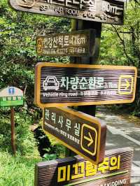 A Breath of Fresh Air and Panoramic Views at Seogwipo Natural Recreational Forest