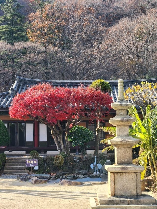 물레방아가 돌아가는 고즈넉하고 작은 암자, 비로암