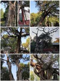 歷代帝王舉行封禪大典和祭拜泰山神的岱廟