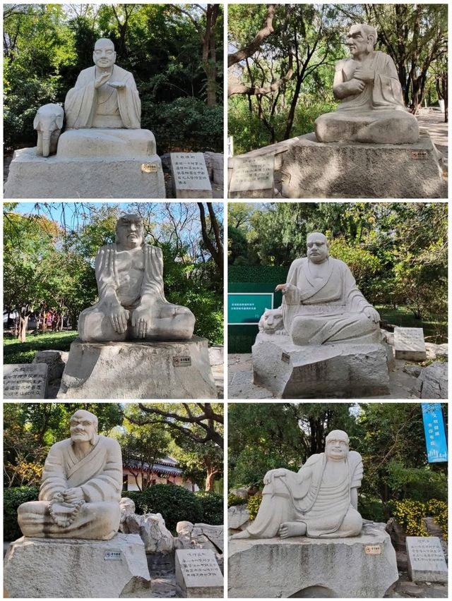 千佛山仰望眾佛