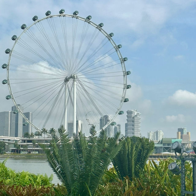 快閃偏門新加坡景點