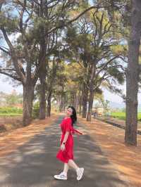 Buôn Ma Thuột