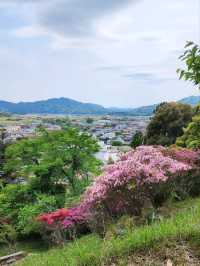 【山口グルメ】蛍街道西ノ市