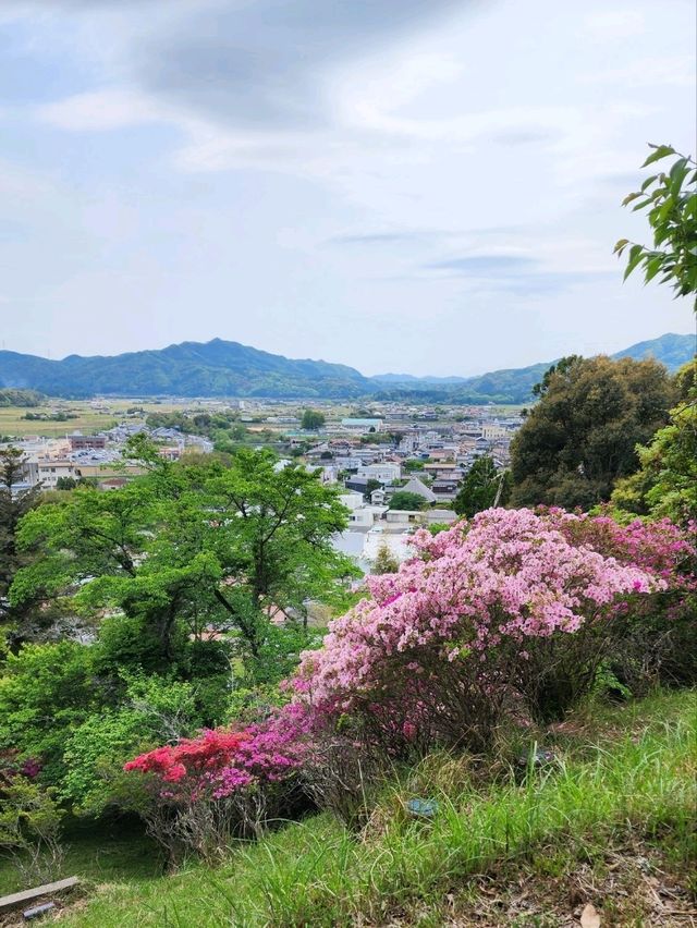 【山口グルメ】蛍街道西ノ市
