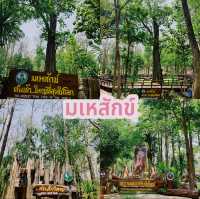 ต้นมเหสักข์