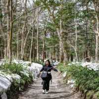 Kamikochi 18/4/2025
