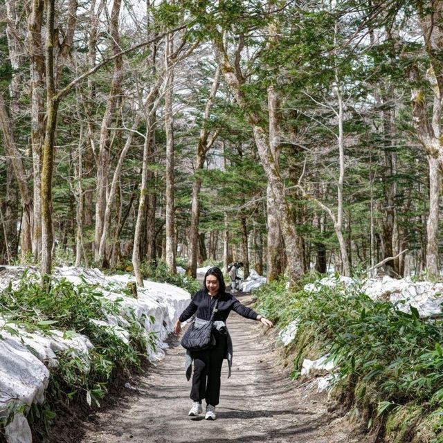 Kamikochi 18/4/2025