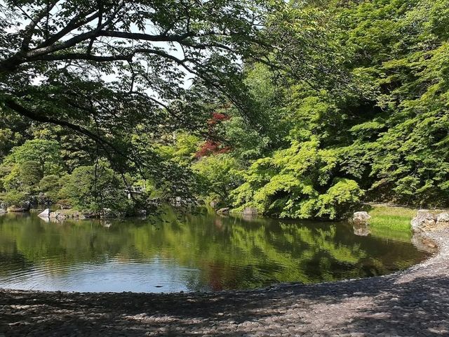 A Perfect Peaceful Escape