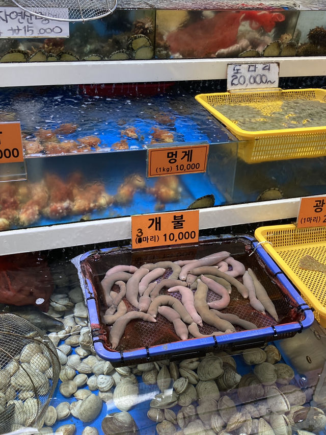 강릉 2박 3일 감성여행 추천드려요! 