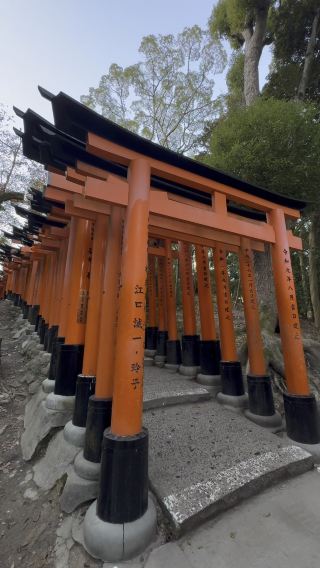 Alone at Fushimi Inari: A 7AM Experience