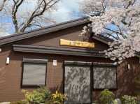 船岡城址公園，仙台近郊居高臨下的賞櫻名所