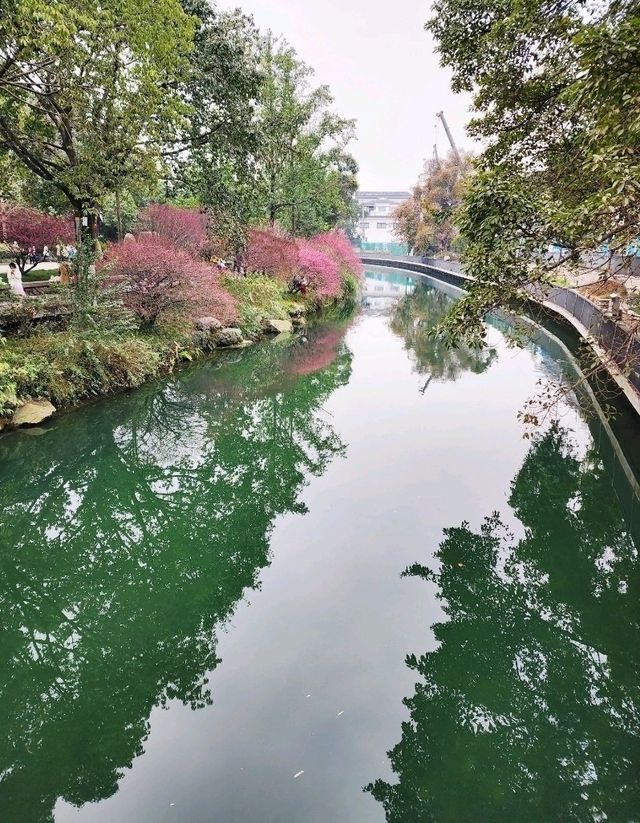 도심 속 여유, 청두 완화계공원 산책