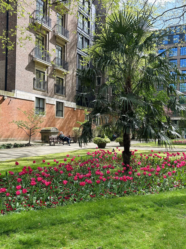 Trip in London 🌷