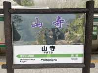 登高又賞櫻 接近四月尾都仲有