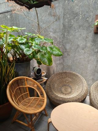 Lava Latte Bliss in a Jungle-Like Café