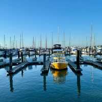 🌉✨ *"Golden Gate Getaway: A Vibrant Weekend Escape in San Francisco’s Heart!"* 🍷🌁