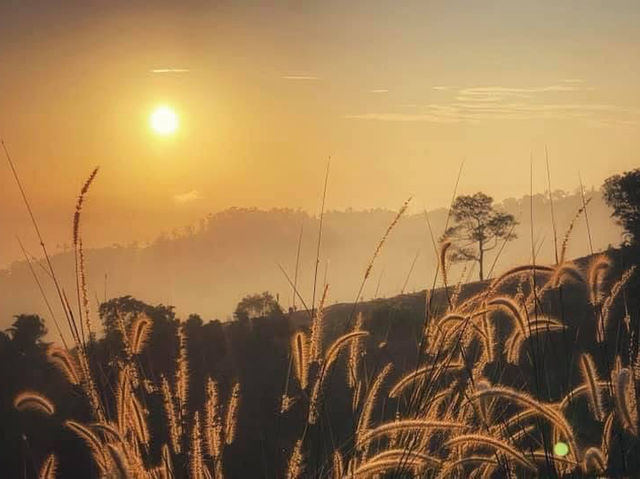 Penang’s Best-Kept Secret: A Sunrise Hike Through Nanshan’s Hidden Trails