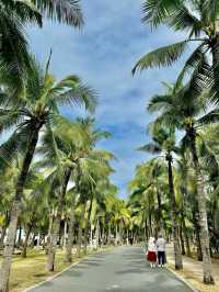 Your Chill Spring Getaway in Sanya