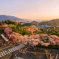 Daegu: Korea’s Secret Spring Sanctuary