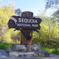 Sequoia National Park – CA