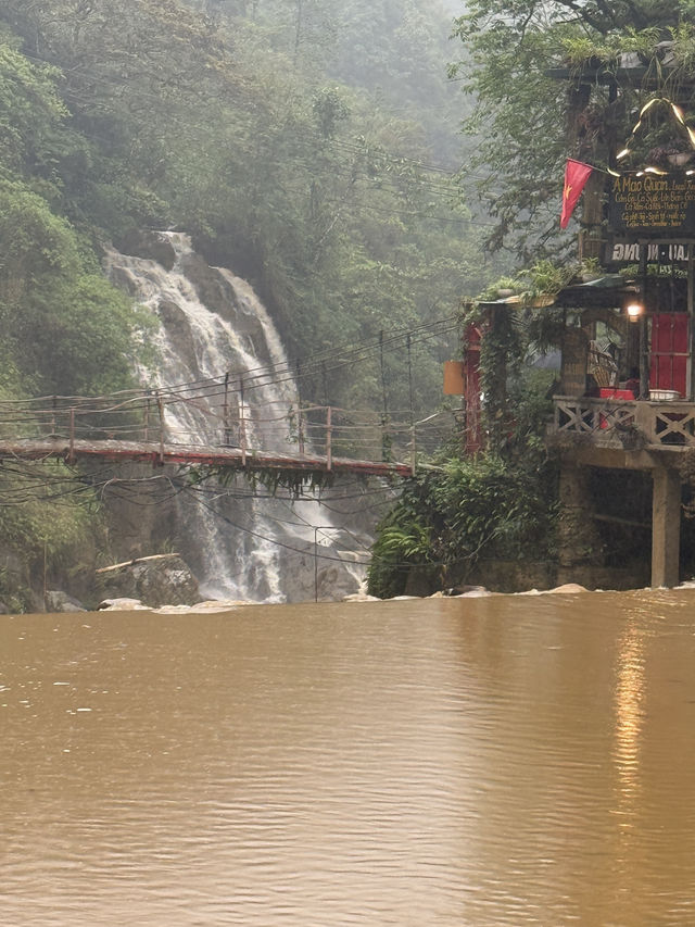 沙唄市必去的貓貓村