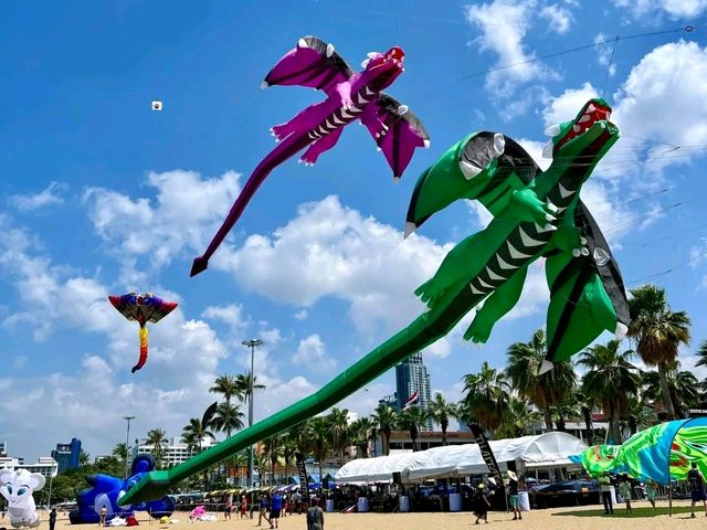 Pattaya Pulse – Where the City Meets the Sea