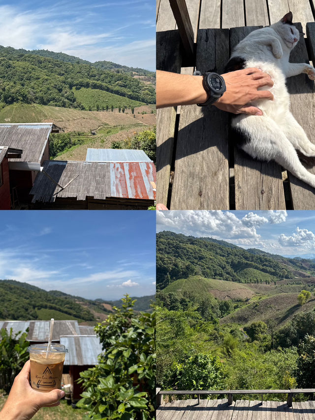6 พิกัดเที่ยวธรรมชาติ จ.เชียงใหม่ 🏡⛰️🌦️🌳
