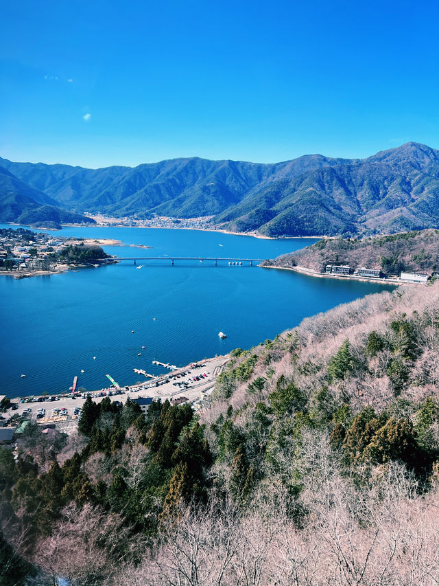［東京旅遊］天上山公園-搭乘纜車🚡遠眺富士山🗻風光