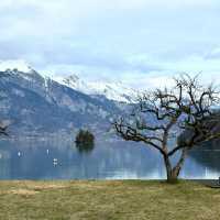 Turquoise Dreams at Lake Brienz: Where Mountains Kiss the Water