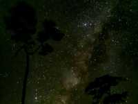 ที่นี้ ภูสอยดาว