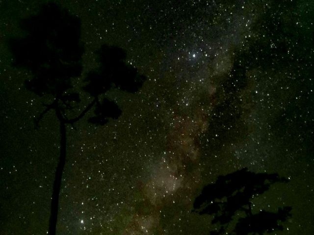 ที่นี้ ภูสอยดาว