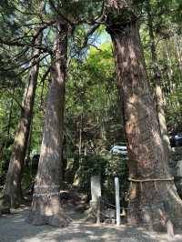 A Weekend in Yufuin – Lakeside Calm & Mountain Retreats