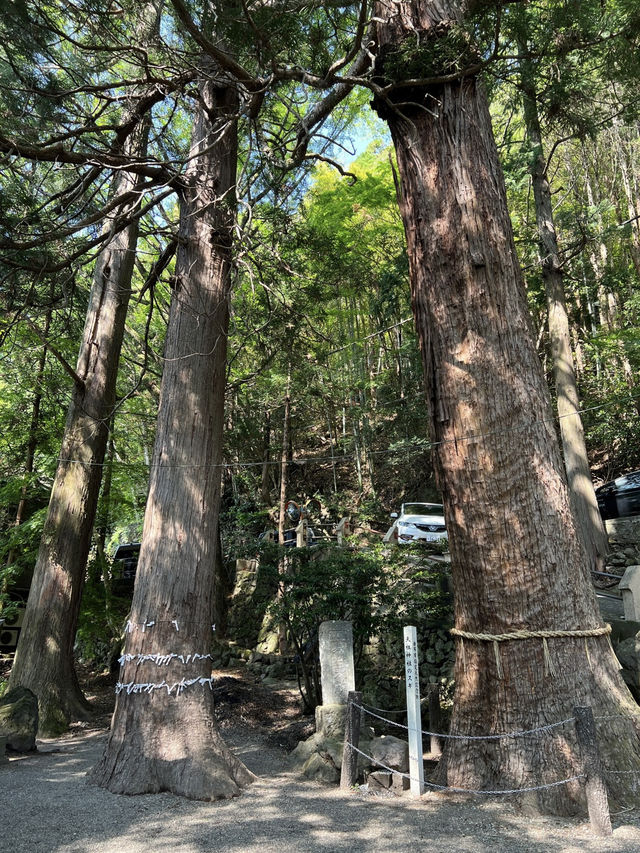 A Weekend in Yufuin – Lakeside Calm & Mountain Retreats