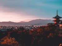 Japan – The Taste of Spring in Every Petal
