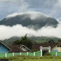A Day at Beautiful Tea Plantation, Pangalengan-West Java