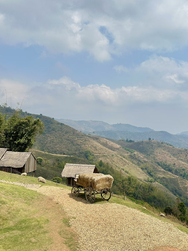 ฟาร์มในฝันที่มีมากกว่าความสวย…🌾🐑