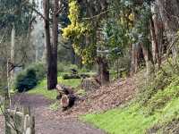 Easy Walk with Kids at Glen Canyon