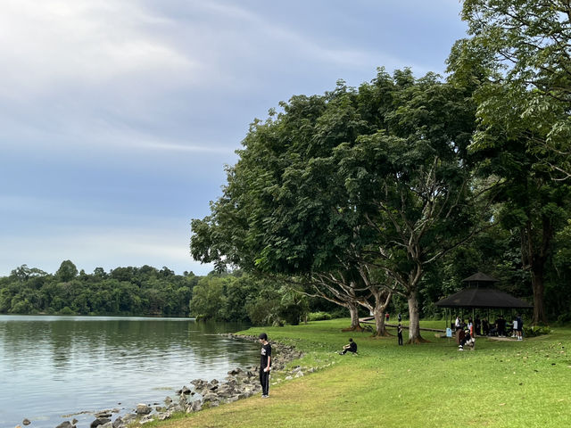 Lower Peirce Reservoir – Brisk Walks & Monkey Business